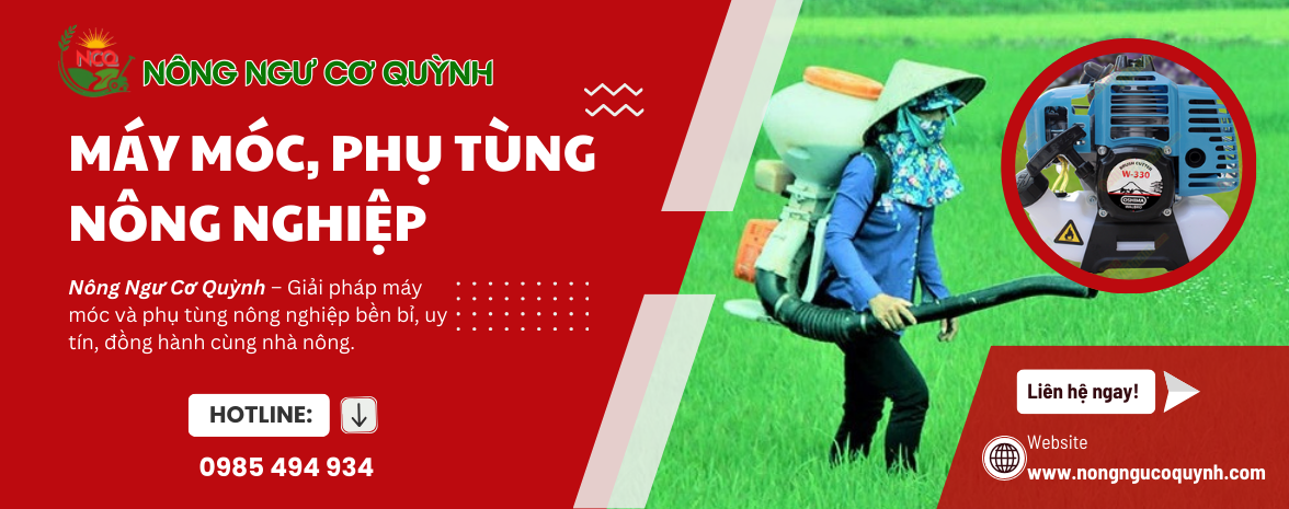 NONG CO QUYNH THONG TIN