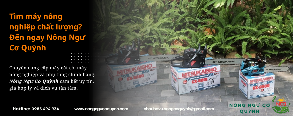 NONG CO QUYNH THONG TIN