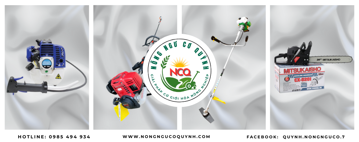 NONG CO QUYNH THONG TIN