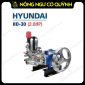 Đầu Bơm Cao Áp Hyundai HD-30 (2HP)