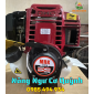 (MRK) Đầu máy cắt cỏ 4 thì GX35 (Không kèm bộ cần)